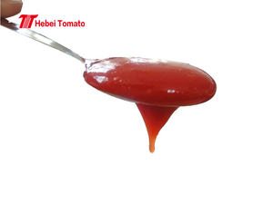 340 г бутылки томатного пюре Кетчуп Соус для окунания приправы томатная паста экспортер - Product Image 5