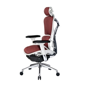 Silla de Oficina Ergohuman con Base de Aluminio y Ruedas de PU, Respaldo Alto, Silla Ergonómica Ejecutiva con Elevación, Diseño Moderno - Product Image 3