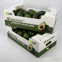 Caisse d'emballage pour l'exportation de fruits et légumes, en plastique MFPP Coroplast, robuste, écologique, recyclable, imperméable et réutilisable