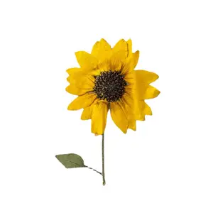 Warna Alami Ditekan Bunga Matahari Kering Resin Bunga 5-6Cm Ukuran Besar Ditekan Bunga untuk Resin Seni Kering Bunga Dekorasi