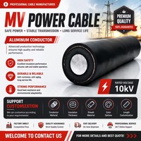 Cable de Alimentación de Alta Tensión con Conductor de Aluminio YJLV22, 1 Núcleo, Aislamiento XLPE, Blindado STA, para Entierro Directo Subterráneo