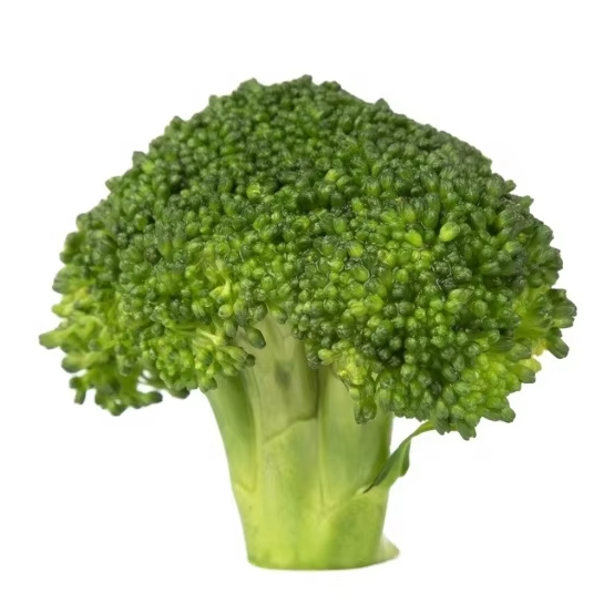 Fresh Frozen Broccoli Factory Price Frozen Vegetables Flower Origin China Frozen Broccoli