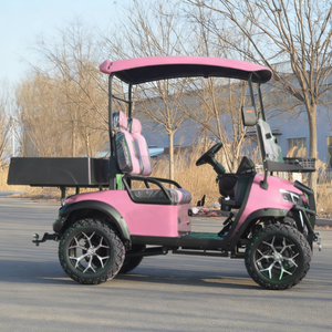 2 <strong>Seater</strong> Pink Adjustable Seats <strong>Electric</strong> Club <strong>Car</strong> Golf Carts Equipped with 3.5KW AC Motor for Off-road Hunting - Product Image 5