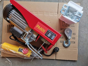 Penjualan pabrik baru truk kerekan Mini Lift kawat derek tali kerekan listrik PA200 PA400 PA600 PA800 bahan logam - Product Image 6