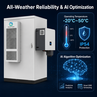 Batteria per Accumulo Energetico Industriale e Commerciale Inedge Power 50KW/100kWh LiFePO4, Sistema di Energia Solare per Microgrid