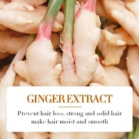 Producto estrella: Nueva pomada para el cabello con etiqueta privada, de acción rápida, para mejorar el cabello seco y encrespado en 7 días, aceite para el crecimiento del cabello con jengibre.