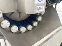 Groene boon, aardbei, mandarijn, bubbelwas-, sorteer-, luchtdroog- en continue voorbereidingslijn voor groenteverwerking voor voedselfabrieken