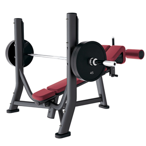 Banco Declinado para <span class=keywords><strong>Pectorales</strong></span> Inferiores - Banco Especializado para Ejercicios de Press Declinado y Abdominales - Product Image 1