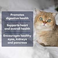 Poudre multi-nutriments riche en protéines pour le soutien immunitaire des animaux de compagnie, avec taurine et jaune d'œuf, pour chats et chiens de tous âges, 2 cuillères par jour, quantité pour 1 à 2 mois