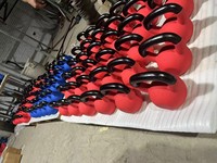 Ensemble d'haltères de compétition en fonte personnalisable pour la salle de sport, entraînement, couleur, ensemble d'haltères en vinyle coloré