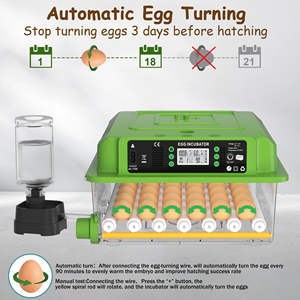 <span class=keywords><strong>Vente</strong></span> flash : Équipement d'incubation d'œufs entièrement automatique à taux d'éclosion élevé, incubateur d'œufs adapté aux poulets - Product Image 1