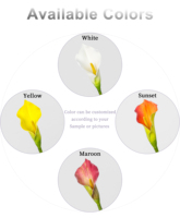 Grosir Pabrik Bunga Calla Lily Buatan 75cm, Bunga Calla Lily Grosir untuk Dekorasi Vas Pernikahan, Rumah, Hotel, dan Rangkaian Bunga