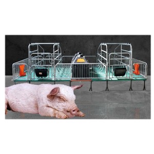 Cama de Parto <span class=keywords><strong>Aow</strong></span>, Equipo para Granjas Porcinas, Jaula de Crecimiento para Lechones, Equipo para Cría de Cerdos - Product Image 2