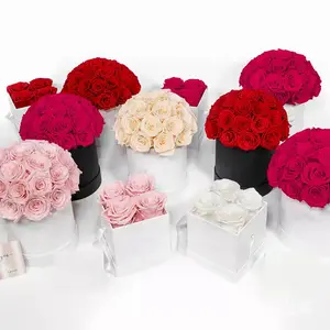Uo baixa caixa personalizada em forma de cogumelo, forma de cogumelo flor eterna preservada everduring real rosa decoração flor em caixas