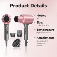 Sèche-cheveux de haute qualité 1600W, moteur AC puissant, vent chaud et froid, avec concentrateur et diffuseur