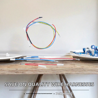 Kabel Harness Elektronik Inti Tembaga 2-pin