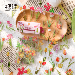 40 PET Sticker Packs Per Pack Botanical Nature Series Vintage Botanical Handbook DIY Decorative Stickers 8 Types - Product Image 2