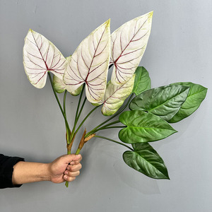 68CM Simulation 5 PCS Feuille d'<span class=keywords><strong>Arum</strong></span> pour Décoration de Jardin Impression 3D Verdure Artificielle de Haute Qualité Plante d'<span class=keywords><strong>Arum</strong></span> - Product Image 2