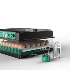Dễ dàng vận hành Máy ấp trứng gà tự động công suất nhỏ 9 quả trứng để sử dụng tại nhà - Product Image 6
