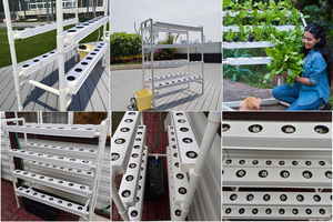 Système de culture hydroponique verticale, 1 pièce, peu encombrant, système de culture hydroponique - Product Image 6