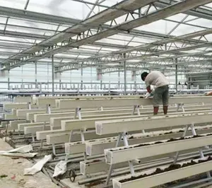 <span class=keywords><strong>Gouttière</strong></span> de culture hydroponique pour fraises, <span class=keywords><strong>gouttière</strong></span> NFT - Product Image 1