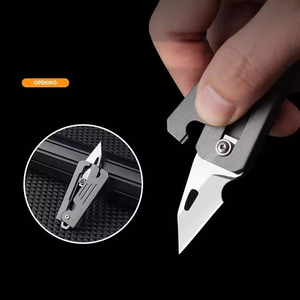 Mini couteau de démontage, livraison express, lame tranchante, haute dureté, pliable, portable, porte-clés, couteau à fruits - Product Image 2