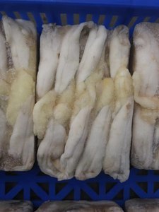 <span class=keywords><strong>ไข่ปลาหมึก</strong></span>อาร์เจนตินาแช่แข็งคุณภาพสูง/<span class=keywords><strong>ไข่ปลาหมึก</strong></span>อิลเล็กซ์ แช่แข็งแบบ IQF ลดราคาพิเศษ - Product Image 5