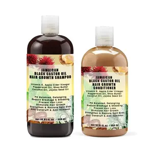 OEM Castor öl Biotin Shampoo und Conditioner für Hair Growth Thickening Anti haarausfall Treatment für Oily & Color Treated haar