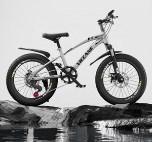 Vélo de montagne 16 pouces pour garçons et filles de 6 à 15 ans, cadre léger en acier au carbone, fourche à suspension, freins à double disque, magnésium - Product Image 2