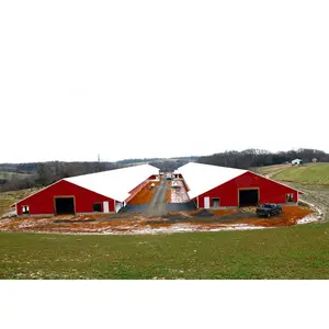 맞춤형 돔 모양의 조립식 철골 구조 닭 가금류 농장 건물 건설