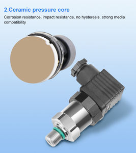 Firstrate FST800-1000 Hochwertiger keramischer Druck messumformer Essential Automotive Motor Sensor für Autos - Product Image 4