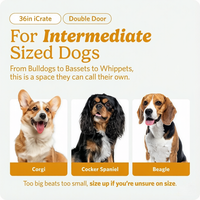 Cage pliable pour chien Homes Pets ICrate de 36 pouces pour races moyennes-grandes (41-70 lb) avec double porte et panneau de séparation écologique thermolaqué