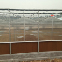 Structure agricole de serres chaudes d'envergure multi de jardin moderne avec le système hydroponique à vendre