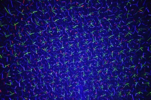 Hot bán 6 đầu chùm đa hiệu ứng đom đóm twinking Sao ánh sáng <span class=keywords><strong>laser</strong></span> hiển thị chiếu cho Giáng sinh DJ Disco bên sân khấu Câu lạc bộ - Product Image 4