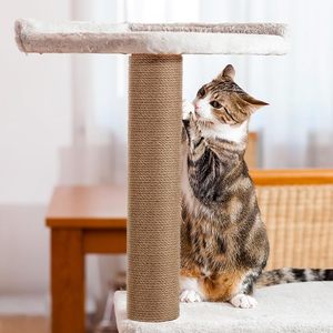Poteau à gratter <span class=keywords><strong>pour</strong></span> <span class=keywords><strong>chat</strong></span> <span class=keywords><strong>pour</strong></span> bricolage accessoires de poteau de remplacement intérieur arbre à <span class=keywords><strong>chat</strong></span> Jute cadre d'escalade chaton jouet meubles <span class=keywords><strong>pour</strong></span> animaux de compagnie - Product Image 6