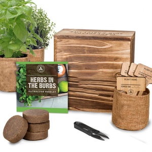 Produits de jardinage, ensemble de plantation, boîte à plantes et herbes pour le jardinage, vente en gros, kit de démarrage pour bonsaï - Product Image 1