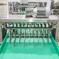 Emballageur automatique avancé pour la colle, pour cartons, sacs, pochettes dans les industries alimentaire, des boissons et cosmétiques, avec une productivité élevée