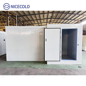 Chambre froide commerciale pour la viande, les produits laitiers, les fruits de mer avec système de réfrigération à économie d'énergie - Product Image 3