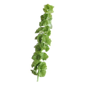 Planta Verde Individual <span class=keywords><strong>de</strong></span> Hoja <span class=keywords><strong>de</strong></span> <span class=keywords><strong>Elefante</strong></span> con Relieve <span class=keywords><strong>de</strong></span> Seda Simulada, Moldeada por Inyección, Precio <span class=keywords><strong>de</strong></span> Fábrica, en Venta - Product Image 4