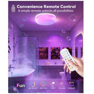Lumière de <span class=keywords><strong>douche</strong></span> LED rechargeable étanche <span class=keywords><strong>IP65</strong></span> avec contrôle tactile RMT+ et gradation CCT3 RGBW, 16 couleurs, fixation magnétique, pour spa - Product Image 3