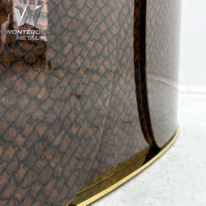 Patas de Mesa de Comedor de Acero Inoxidable con Estampado de Serpiente, Lujosas, para Sala de Estar, Accesorios para Muebles del Hogar - Product Image 4