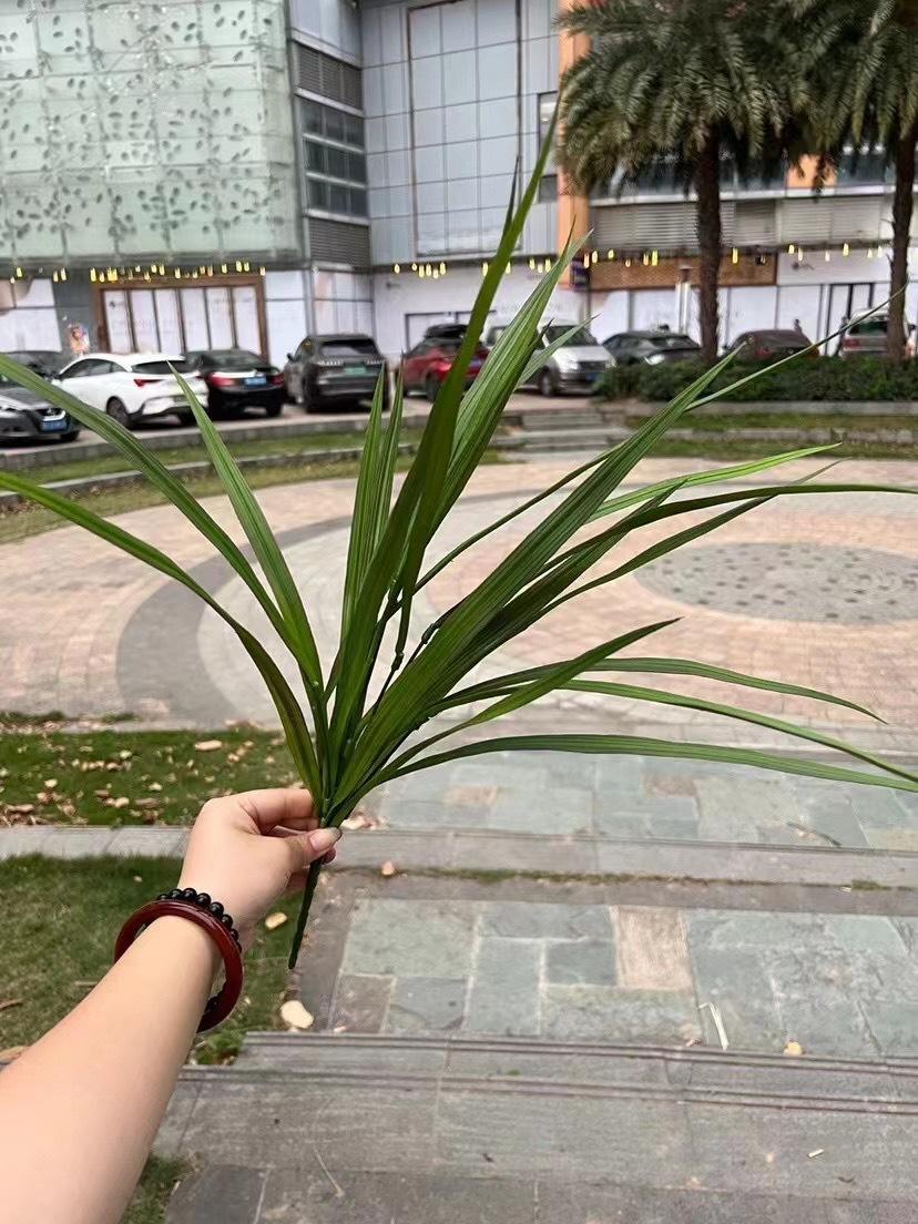 7 horquilla orquídea verde