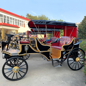Noble Customizable <b>Rows</b> Seat Sightseeing Victoria Horse-drawn Carriage Historic Royal Electric Wedding Carriage for Sale - Product Image 3