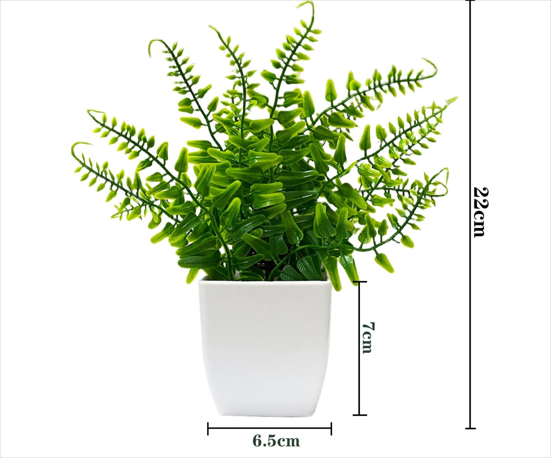 Potted Persian grass green