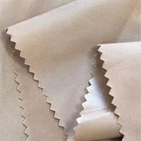 Polyester noir léger 100% T du blanc 210 tissu de doublure de pongé teint par plaine pour des doublures de vêtement