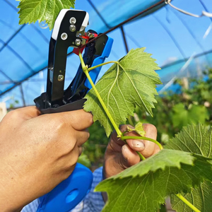 Máquina Atadora de Vides Manual de Alta Calidad OEM, Herramienta de Soporte para Plantas para Cultivadores de Uvas, Tomates y Pepinos - Product Image 5