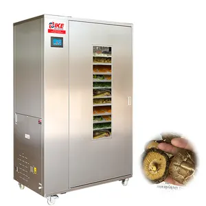 Commerciële 100Kg Capaciteit Dehydrator Met Moringa Bladeren Paddestoel Droogmachine