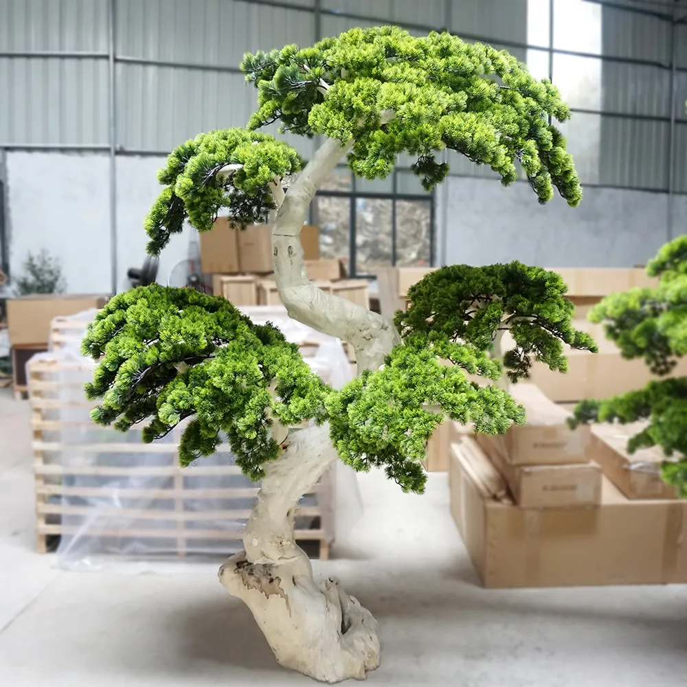 2m उच्च लाइव पाइन पेड़ इनडोर बोन्साई पौधों कृत्रिम पेड़ पाइन घर की सजावट के लिए
