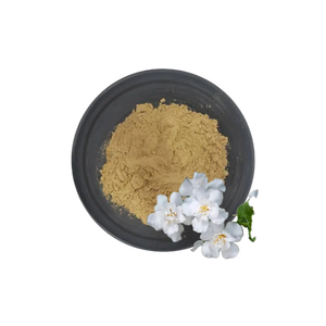 Produk organik produk QYHerb kualitas unggul ekstrak bubuk <span class=keywords><strong>Bacopa</strong></span> Monnieri murni harga murah untuk dijual - Product Image 1