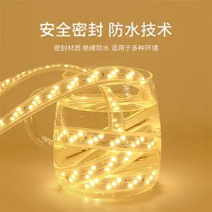 IP65 THREE-Color 100 50 Meters RGBW RGB 4000K Orange Double Row Flat Round Rope Light IP67 110V 220V LED Strip Light